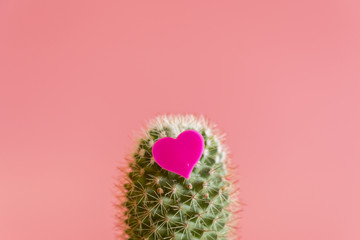 Heart on the cactus. Love of cactus (Cactus love). On a pink background - obrazy, fototapety, plakaty
