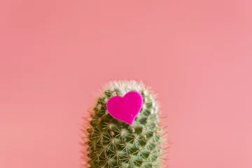 Foto op Aluminium Hart op de cactus. Liefde voor cactus (Cactusliefde). Op een roze achtergrond © jollier_