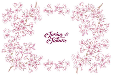  Spring Sakura and Magnolia Background. Hand drawn spring flower