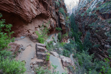 A man with his baby boy are trekking in Zion national park, Utah, USA