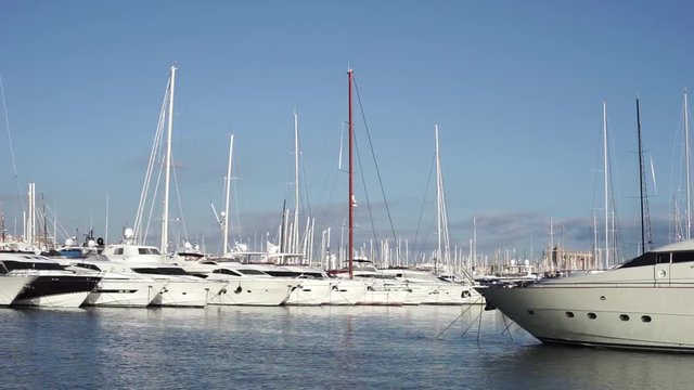 Marina of Palma de Mallorca with luxury yachts, Mediterranean Sea, Balearic Islands Spain