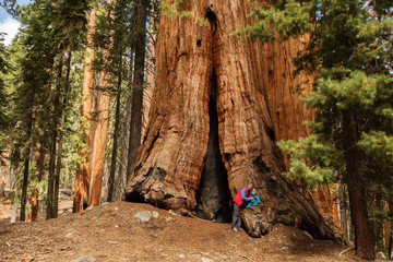 Mother with infant visit Sequoia national park in California, USA