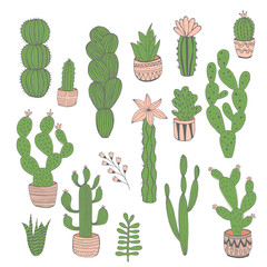 Set of vector hand drawn cactus. Isolated. Cute succulent.