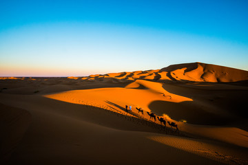 Landscape view of sand dunes in Sahara desert with Moroccan men with camels in the distance