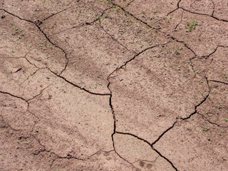 Trockenheit im Boden