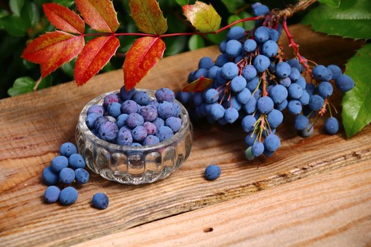 naturheilkunde mit mahonien  beeren