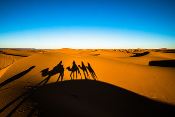 Fototapeta na wymiar Wide angle shot of people riding camels in caravan over the sand dunes in Sahara desert with camel shadows on a sand
