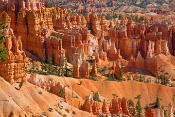 Bryce canyon