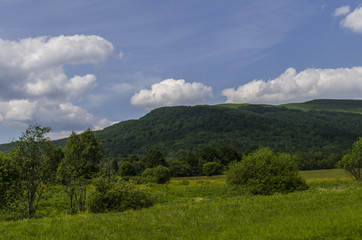 Fototapeta na wymiar Bieszczady okolice Tarnicy 