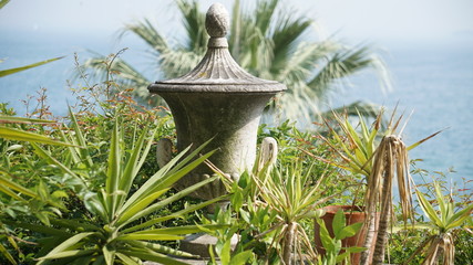 Palme.