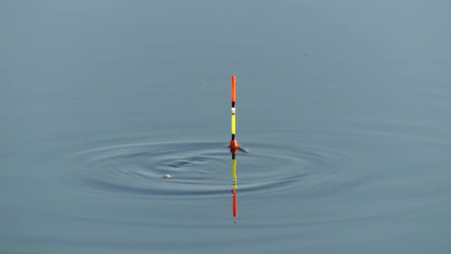 A float for fishing rods in the water while fishing. A float in the water signals that the fish is biting.