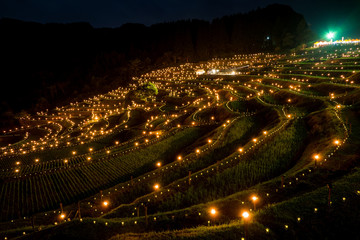 大山千枚田「棚田の夜祭り」