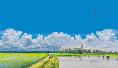 Abstract soft focus bicycle on the the earthen dyke grass road, the farmer practices, an ancient...