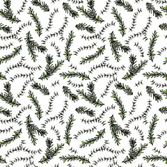 Rosemary and Thyme Seamless Endless Vector Background. Fresh Green Herbs for Meat, Steak or Seafood Cooking. Hand Drawn Illustration. Doodle Style.