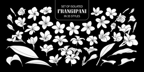 Set of isolated white silhouette frangipani.