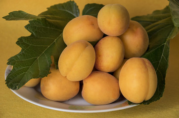 Plato con albaricoques recién cogidos del árbol.