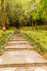 Garden Walkway in natural park outdoor