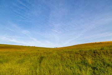 Green fields in Sussex, on a sunny summer's morning