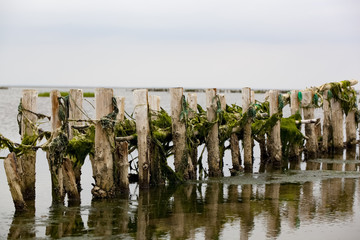 Wadden sea, Danish coastline