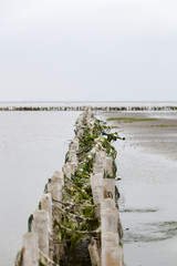 Wadden sea, Danish coastline
