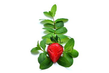 Evil strawberry in a sprig of mint isolated