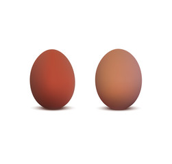 Realistic chicken eggs 