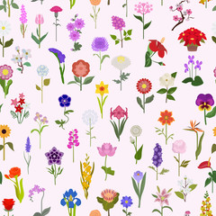 Your garden guide. Top 50 most popular flowers seamless pattern
