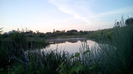 quiet rural misty pond at dawn in summer