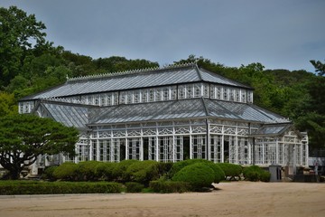Fototapeta na wymiar A Greenhouse in Seoul