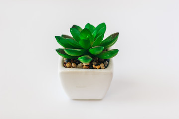 Artificial succulent plant in ceramic pot on counter beside wall