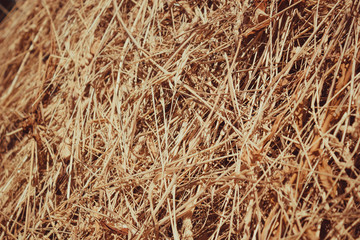 straw, dry straw texture background, vintage style for design.