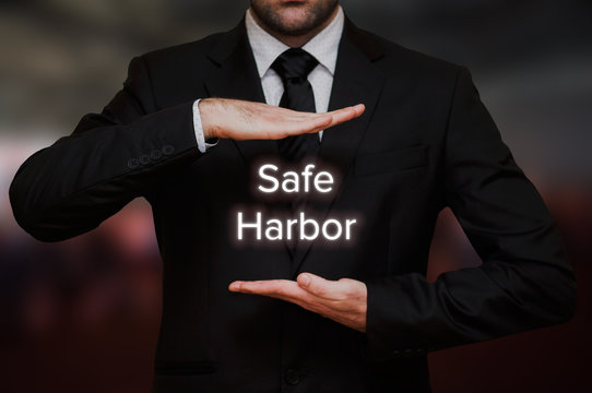Businessman with safe harbour concept