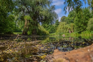 Obraz premium Der See