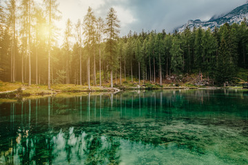 Sonnenuntergang am grünen See im Wald
