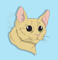 landscape of mountains