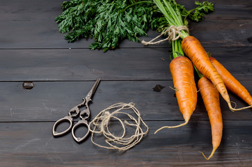 Freshly washed whole carrots with leaves