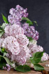 Lilac flowers of three colors of snow-white and pink and purple on a wooden cut.