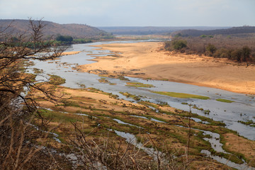 Fototapeta na wymiar Krüger National Park