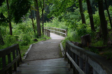 Obraz premium Mokry spacer, ale relaksujący