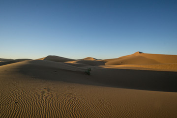 Fototapeta na wymiar Desert Dunes in the Sahara, Morocco
