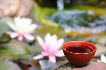Black Chinese Tea garden