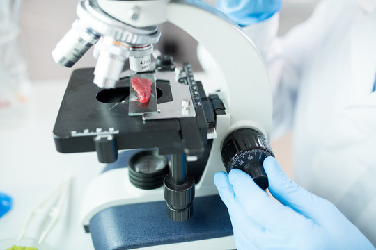 Crop Close-up View Of Microbiologist Analyzing Structure And Properties Of Meat Sample During Food Nutrition Testing