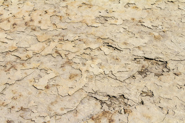 abstract rock surface detail