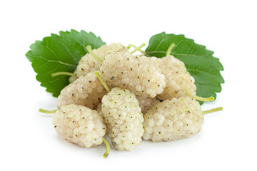 White Mulberry berry isolated