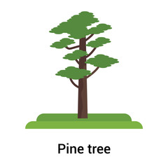 Red Pine tree icon vector sign and symbol isolated on white background, Red Pine tree logo concept