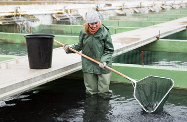 Woman standing in fish tank catching fish on farm