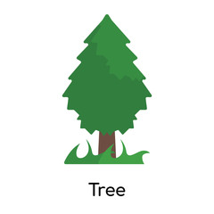 Tree icon vector sign and symbol isolated on white background, Tree logo concept