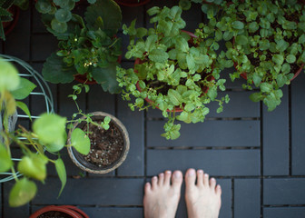 Green flowers in pots next to women's legs. Top view