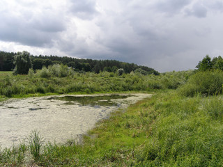 Fototapeta na wymiar Landscape in June with trees, field, river