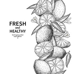 Lemon border vector drawing. Citrus fruit engraved frame templat